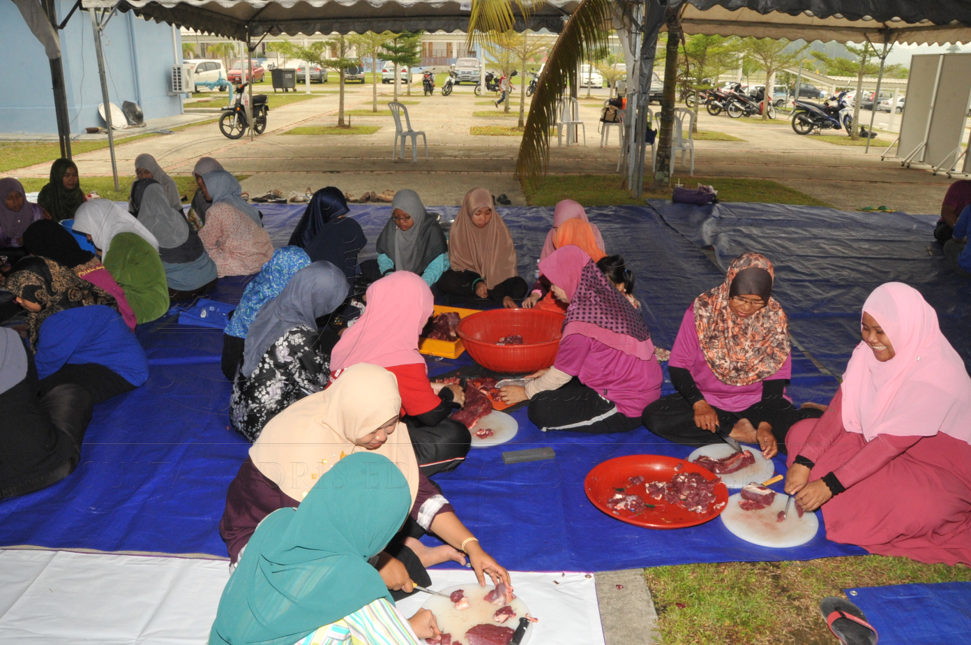 PRO15 150 KORBAN HAS 6945